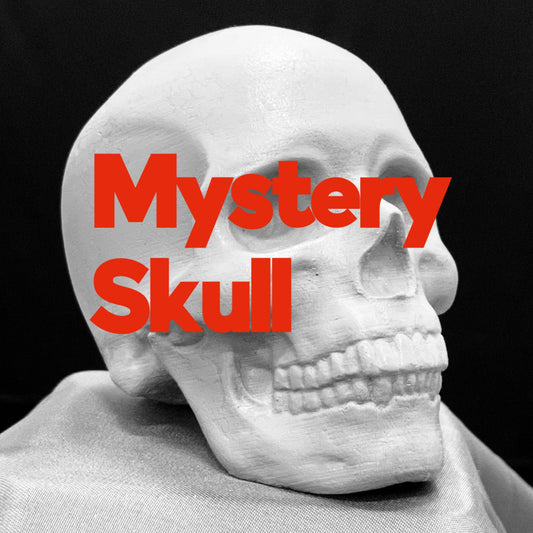 Mystery Skull